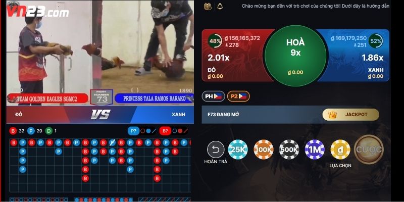 Các bước tham gia trải nghiệm