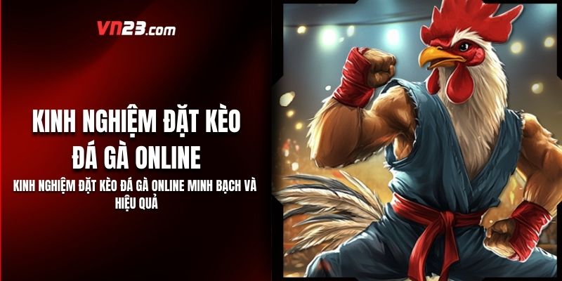 Kinh nghiệm đặt kèo đá gà online Minh Bạch Và Hiệu Quả