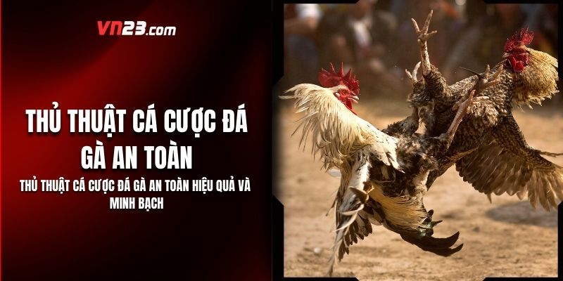 Thủ Thuật Cá Cược Đá Gà An Toàn Hiệu Quả Và Minh Bạch