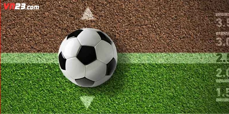 Xây dựng kinh nghiệm cược thể thao an toàn khi tham gia cá cược